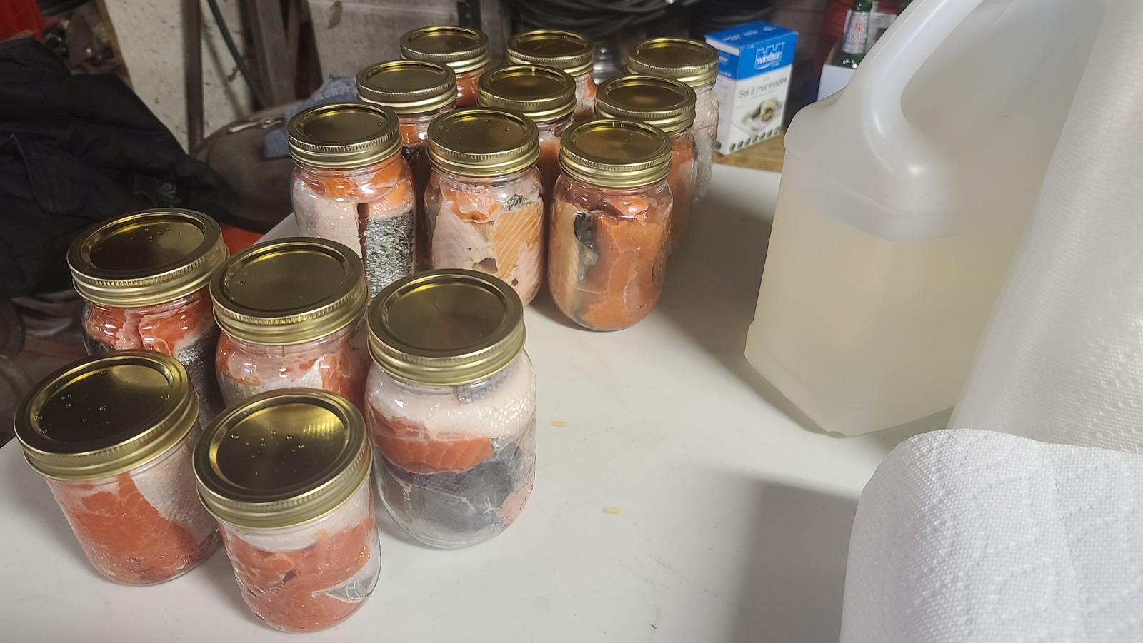 Prepared jars lined up for camp cooking