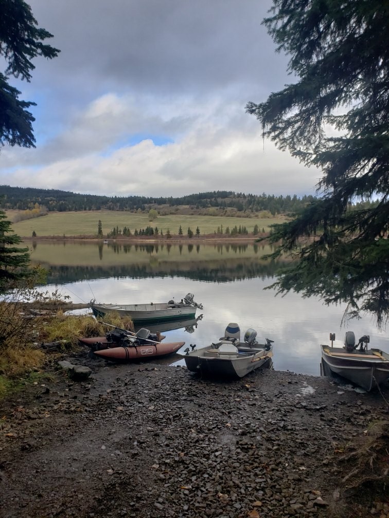 Camp pulled up near the lake
