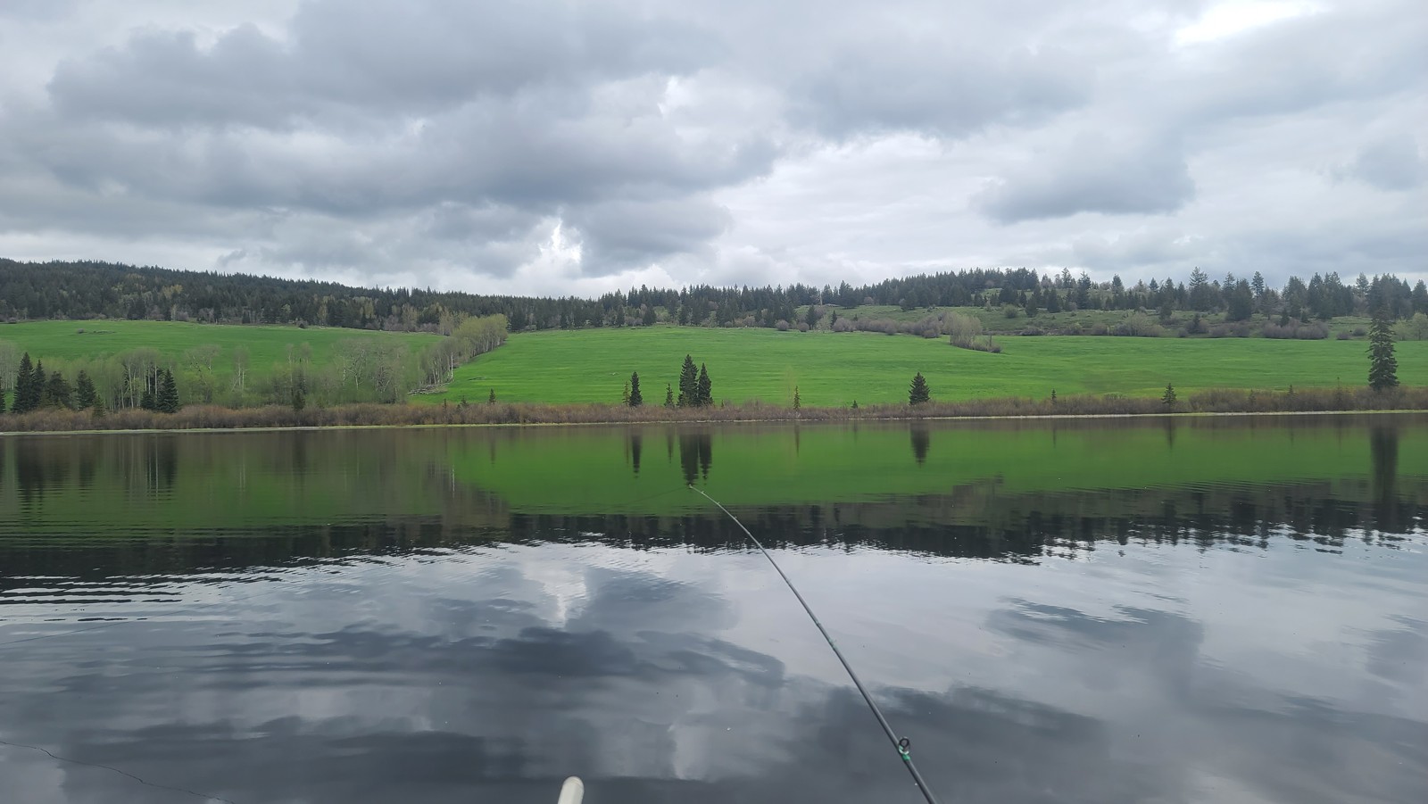 Stillwater fly lines