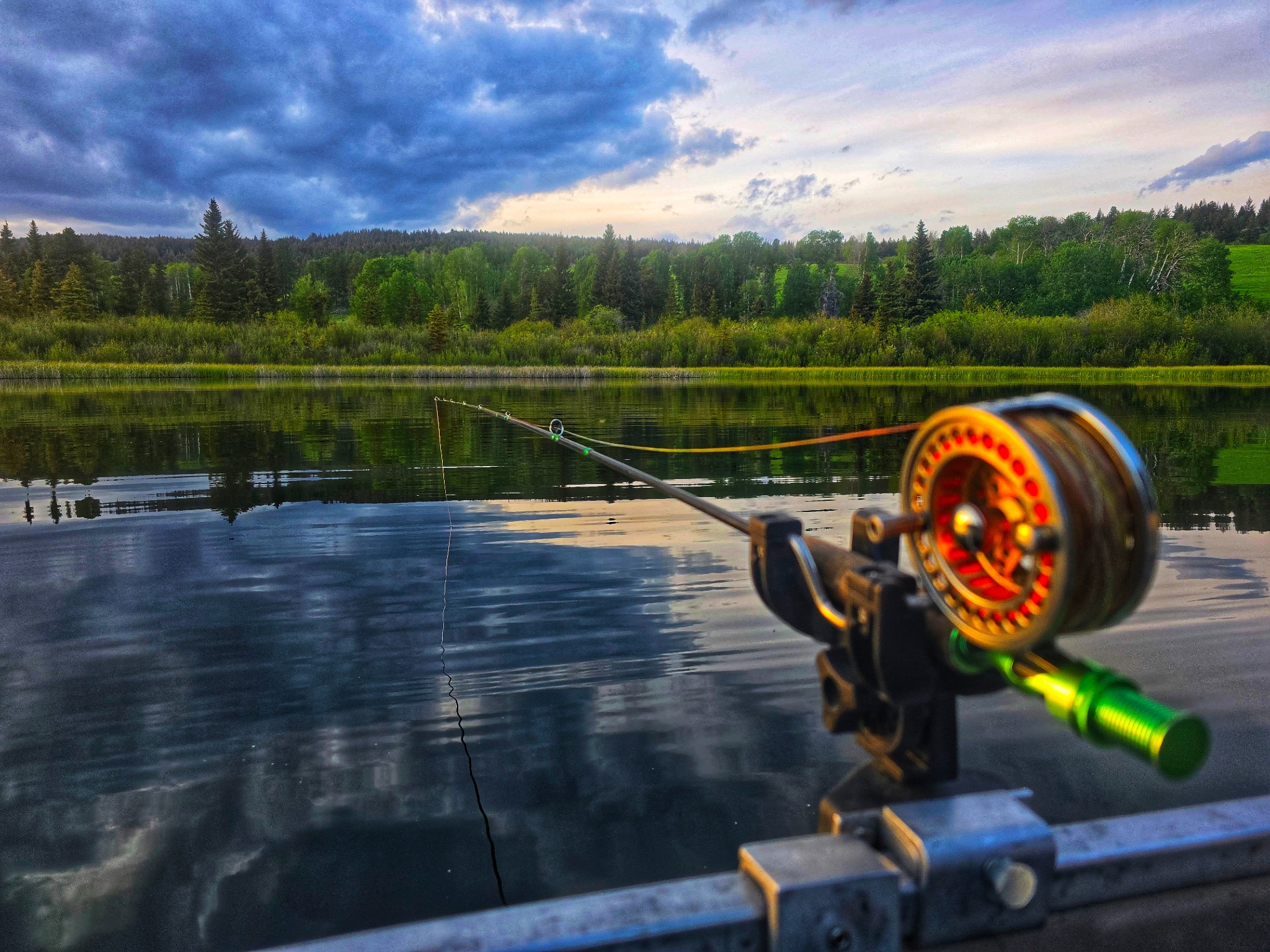 Fly Lines and Depth Control